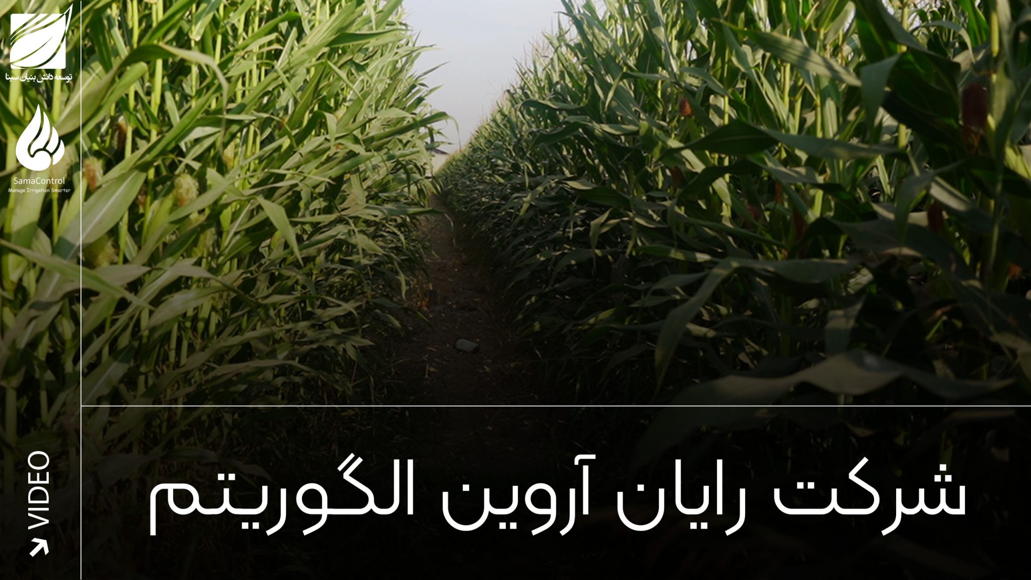 تیزر ویدیویی سما کنترل؛ گامی نوین در کشاورزی هوشمند